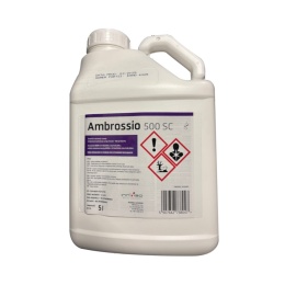 Ambrossio 500 SC 5L