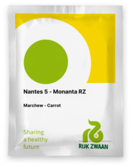 Nasiona Marchewka Nantes 5 - Monanta RZ - 50g